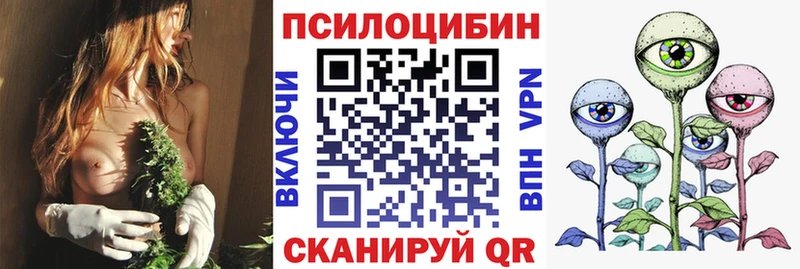 Галлюциногенные грибы GOLDEN TEACHER  купить   Кувандык 