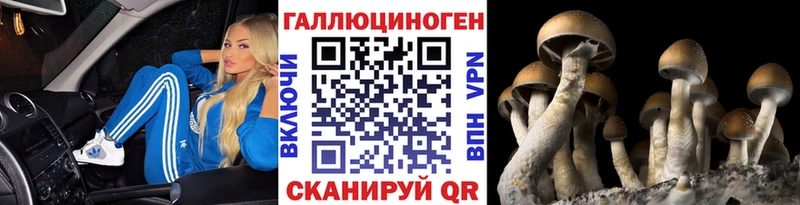 Галлюциногенные грибы MAGIC MUSHROOMS Кувандык