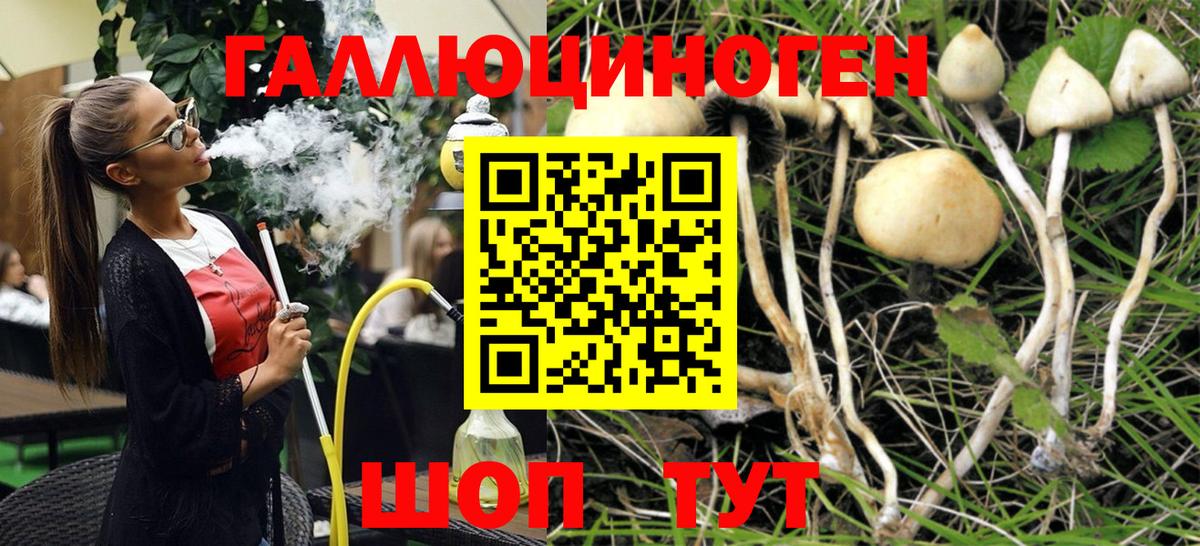 Галлюциногенные грибы Psilocybine cubensis  Псилоцибиновые грибы ЛСД  Вход с VPN  Кувандык 